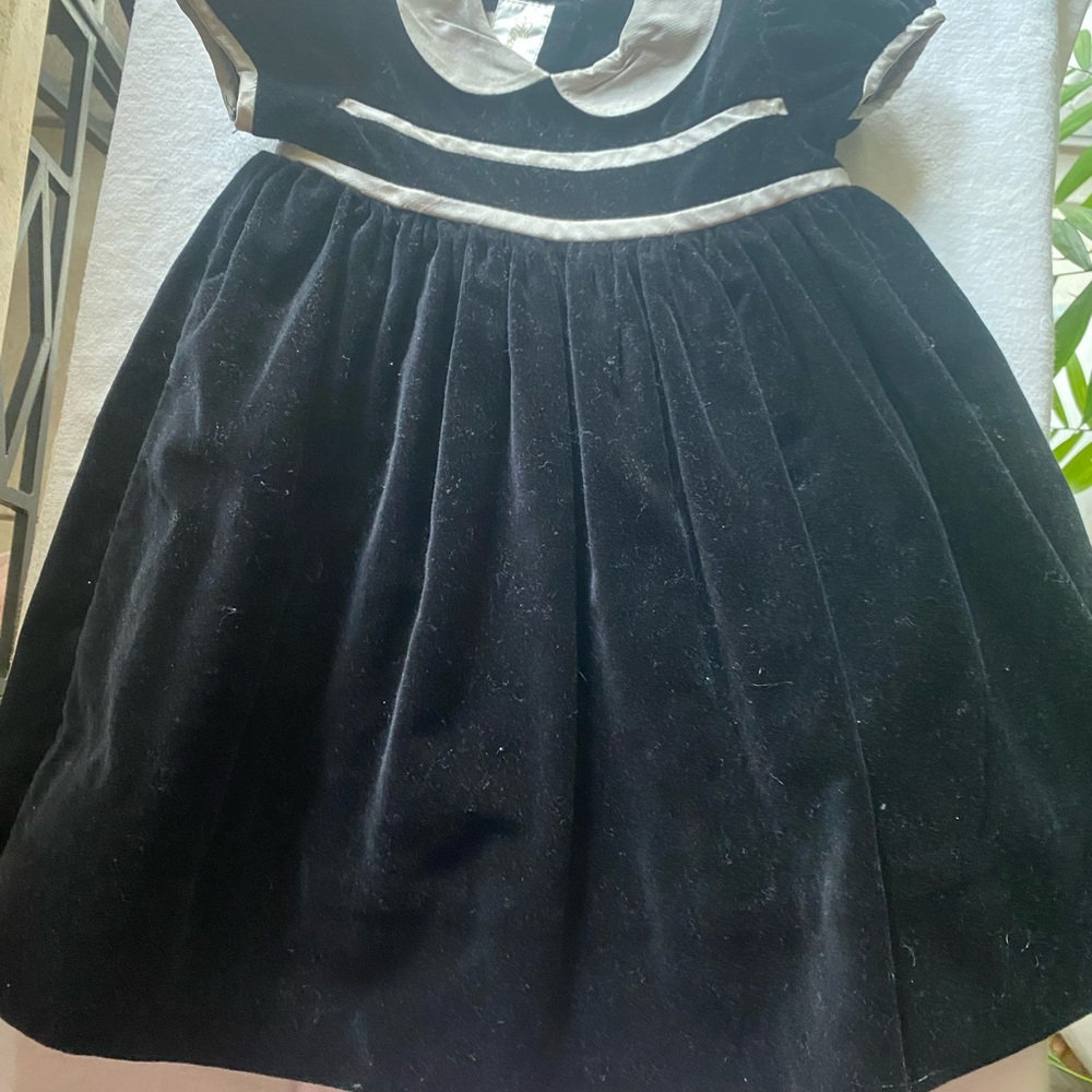Strasburg Black and Silver  100%cotton velvet and silk silver accents